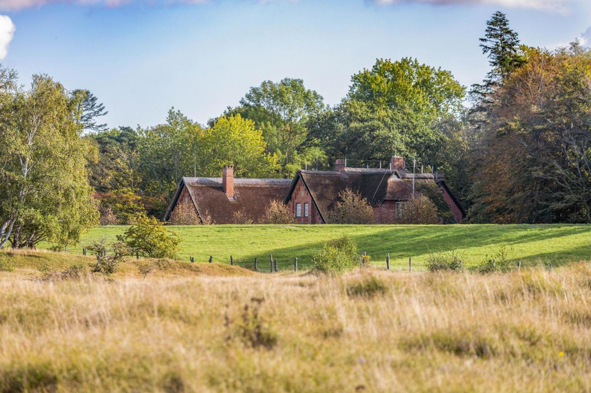 אולדנבורג אין הולשטיין Ferienhaus Gisela In Holzstein An Der Ostsee מראה חיצוני תמונה